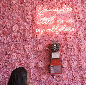 Meet your Posher, Garima